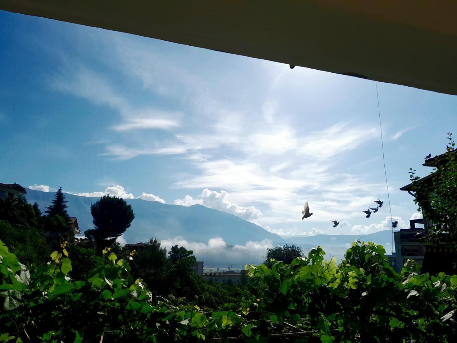 George 1 Daire Gjirokastër Dış mekan fotoğraf